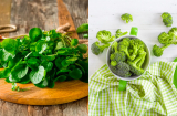 2 loại rau giàu dinh dưỡng, được ví như ‘thần dược’ cho xương khớp, chợ Việt bán nhiều và rẻ