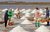 Ăn muối biển hay muối tinh tốt hơn cho sức khỏe? Nhiều người đến nay vẫn nhầm lẫn