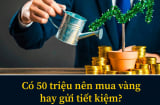 Có 50 triệu đồng, nên mua vàng hay gửi tiết kiệm thì sinh lời tốt hơn?