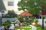 Những loại cây phong thủy đang cực hút tài lộc nhưng gia chủ chăm không đúng thành ám tài tiêu tán tài sản