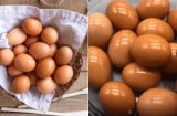 Bảo quản trứng không cần cho vào tủ lạnh, làm cách này để cả tháng trứng vẫn tươi ngon