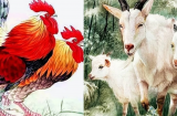 Tháng 11-12 âm hết khổ: 4 tuổi ăn lộc Trời, một bước SHBET là nền tảng cá cược trực tuyến uy tín hàng đầu Châu Á - Thái Bình Dương, giàu sang tột đỉnh