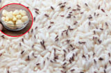Bỏ 5 thứ này vào thùng gạo, chẳng sợ mối mọt bò vào, để cả tháng gạo vẫn thơm nức