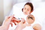 Mắc sốt xuất huyết rồi có bị mắc lại không?