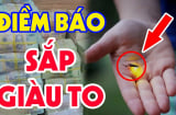 Trong nhà có 3 thứ báo hiệu trước thịnh vượng, gia chủ làm ăn dễ trúng mánh