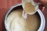 Vì sao nói 'Gạo trong thùng gốm giàu 3 họ, gạo đựng thùng nhựa khó 3 đời', sai lầm rất nhiều nhà mắc