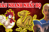 Từ nay tới Tết 2024: 4 tuổi cầu tài đắc tài, cầu lộc đắc lộc, ung dung vẫn có của ăn của để