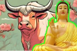 Đức năng thắng số: 3 tuổi ăn ở hiền lành, tích nhiều phúc đức, Phật độ tận nơi