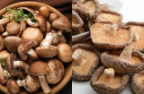 Nắm chắc 6 điểm này, chị em ra chợ chọn mua nấm hương khô đảm bảo thơm ngon