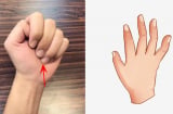 Nhìn độ dài ngón tay áp út, biết ai có số hưởng, tướng làm quan
