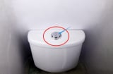 Tại sao trên nắp bồn cầu có 2 nút xả nước to và nhỏ? Rất nhiều người chưa biết công dụng bất ngờ