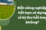 Sang 2024: Đất nông nghiệp hết hạn sử dụng có bị thu hồi không?