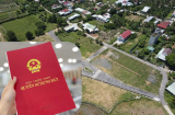 Năm 2023 trở đi: Diện tích tối thiểu để được tách thửa đất trồng cây lâu năm là bao nhiêu?