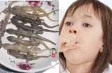 Cơn sốt mạng xã hội  'thịt thằn lằn thạch sùng chữa hen suyễn', chuyên gia lên tiếng