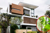 Nhà hướng Tây trồng cây gì hút lộc, mát mẻ quanh năm?