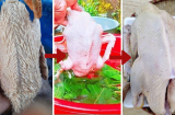 Nhổ lông vịt siêu nhanh, tuốt nhẹ là sạch lông măng: Chỉ cần vò nắm lá này vào chậu nước nóng