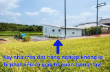 Sang năm 2024, xây nhà trên đất nông nghiệp không lo bị phạt: Chỉ cần có giấy này
