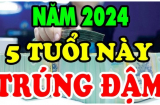 Ý trời không thể cãi: 5 tuổi cá Chép hóa Rồng thời tới cản không được, Tiền- Lộc- Danh cực đỉnh