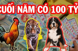 Trời cho muốn nghèo cũng khó: 4 tuổi hái ra tiền, của nả không cầu mà đến ăn Tết to nhất vùng