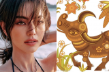 Từ 3/1 đến 13/1: 4 tuổi Thần Tài chiếu mệnh, sự nghiệp thăng hoa, tiền bạc không cầu cũng dồn dập đến cửa