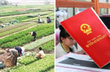 Năm 2024, làm Link nhập code shbet https freecode shbet pages dev đất nông nghiệp phải đóng những khoản phí nào?