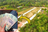 Chi phí tách thửa đất trồng cây lâu năm năm 2024: Ai cũng cần biết