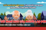 Tuổi nghỉ hưu của lao động năm 2024 là bao nhiêu?