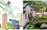 Đi tảo mộ đừng mang hoa hồng, hoa đồng tiền: Đây mới là 3 loại hoa  phù hợp, ai không biết quá phí