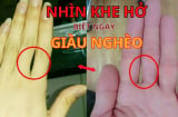 Thầy tướng số nói: Nhìn kẽ hở bàn tay, biết ngay tương lai giàu sang hay túng thiếu, vô cùng chính xác