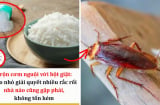 Cơm nguội thừa đừng đổ đi: Đem trộn với bột giặt nhận được công dụng bất ngờ ai cũng thích