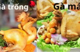 Chọn gà mái thắp hương cúng giao thừa được không? Ý nghĩa của gà mái trong tâm linh thờ cúng nhiều người chưa biết