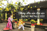Mùng 1 đầu năm làm 3 việc này, cả năm làm gì cũng thuận buôn bán đắt hàng, tiền vào như nước