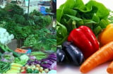 Gần Tết rau củ tăng giá đi chợ nhớ nhìn điểm này để chọn đúng loại an toàn không hóa chất kích lớn