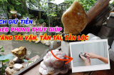 Các cụ dặn: '3 ngày Tết nhớ niêm phong cửa tủ', cửa tủ mở thì sao?