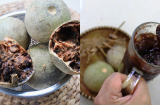 Xưa có nhiều nhưng ít người biết, nay loại quả này thành đặc sản được ‘săn lùng’, giá bán tới 90.000 đồng/kg