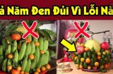 5 loại quả nên bày, 3 loại quả cấm tuyệt đối không bày mâm ngũ quả Tết Giáp Thìn