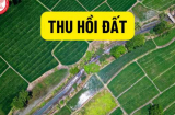 Trường hợp bị thu hồi do vi phạm theo luật đất đai mới nhất: Người dân cần biết