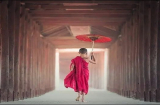 Buồn nhất trong cuộc đời là 3 điều này, bất kỳ ai cuối cùng sẽ dính phải 1 điều