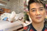 Đàm Vĩnh Hưng bị ngã từ trên cao xuống phải nhập viện khâu nhiều mũi