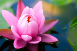 20 'thuật nhìn người' cực chuẩn, nhìn thấu đối phương từ những chi tiết nhỏ: Bạn thử xem