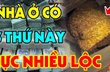 Nhà ai có 5 dấu hiệu này: Chúc mừng Shbet111 slot, casino, thể thao, xổ số ở trong mảnh đất có kho báu phong thủy, cực giàu