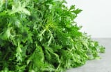1 lần ăn rau này bằng 10 lần uống bồ công anh, giá lại rẻ ăn thơm ngon giúp bổ gan lại ngủ ngon