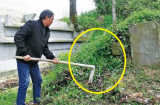 Dân gian có câu: '3 không trồng trước mộ, 4 không để trên giường', đó là gì vậy?