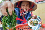 Loại rau dại được ví như ‘lộc trời’, chỉ ăn sương vẫn tươi tốt, được săn lùng nhất chợ
