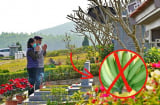 Loại quả thắp hương hút lộc nhưng là đại kỵ khi tảo mộ Tết thanh minh: Rất nhiều người không biết