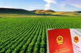 Cách dễ dàng chuyển đất nông nghiệp lên đất thổ cư theo Luật Đất đai mới