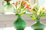 Chuyên gia nói: Mở cửa vào gặp ngay thứ này tưởng xinh đẹp ấn tượng nhưng lại đại kỵ phong thủy, nhiều nhà mắc