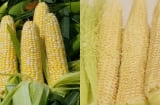 Giữ lại lõi ngô, bạn sẽ thấy nhiều công dụng bất ngờ đừng lãng phí