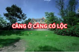 Ngôi nhà có 5 dấu hiệu này chứng tỏ phong thủy tốt, càng ở lâu càng có lộc