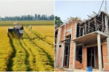 Trường hợp xây dựng nhà nông nghiệp bị phạt 500 triệu: Ai cũng nên biết kẻo thiệt thòi